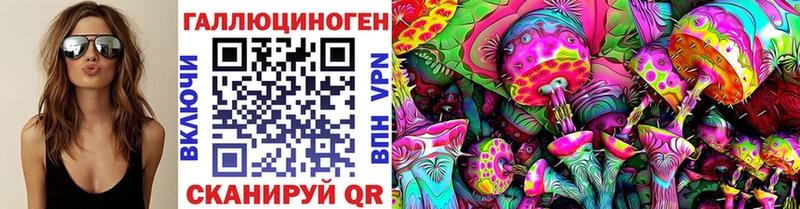 Псилоцибиновые грибы Cubensis наркота Городец