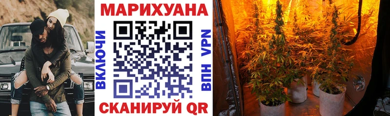 Бошки Шишки SATIVA & INDICA  купить наркоту  Городец 